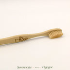 Brosse à dents Bambou-2