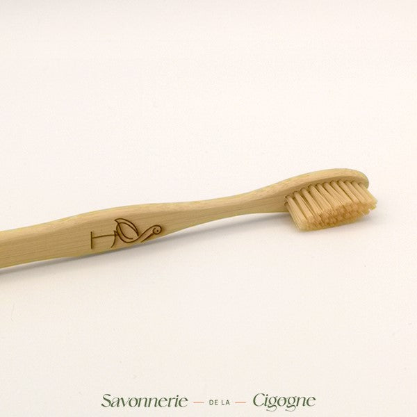 Brosse à dents Bambou-2
